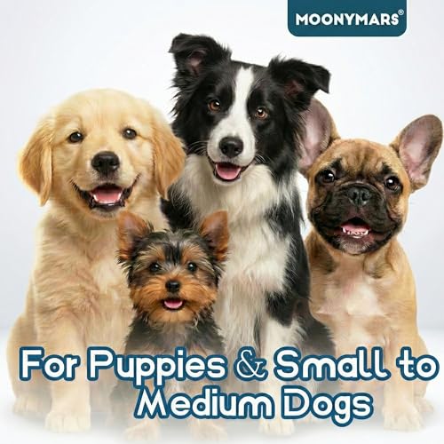Small Dog Toothbrush (Blue - Horizontal Head / 1 Count (Pack of 2))