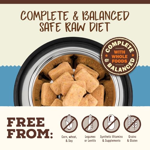 Primal Freeze Dried Raw Cat Food Nuggets (14 Ounce (Pack of 1))
