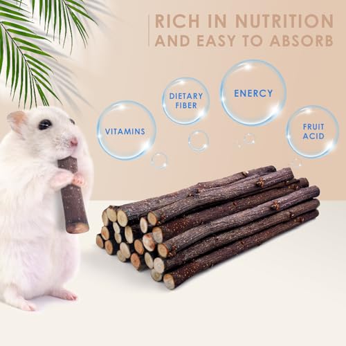 120g 4.2oz Natural Apple Wood Sticks (4.2 Ounce (Pack of 1))