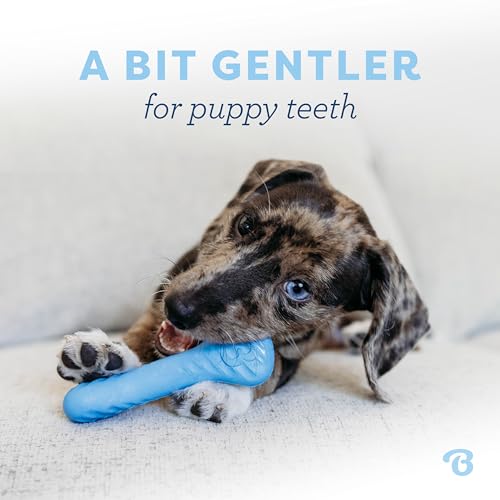Puppy 2 Pack Rubber Bone (2 Pack)