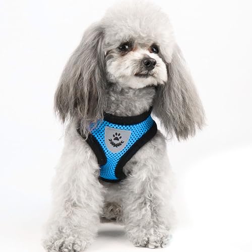 Sky Blue Cat Harness and Leash Set (sky blue / XL：(Neck:14.56" chest:18.11"-24.01"))