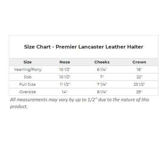 Premier Lancaster Fixed Throat Leather Halter for Horses (Full Size / Havana)
