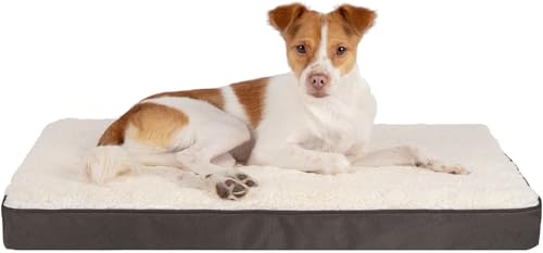 Orthopedic Dog Bed with Memory Foam (Brown / 24" x 16" x 3")