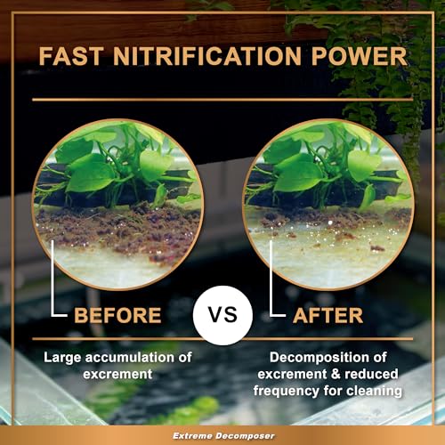 PLUS BIO XD Extreme Decomposer Nitrifying Bacteria for Freshwater and Saltwater Fish Tank 33.8 Ounces (33.8 oz)