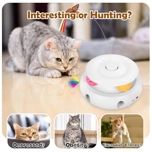 3-in-1 Interactive Cat Toy for Indoor Cats, White (white)