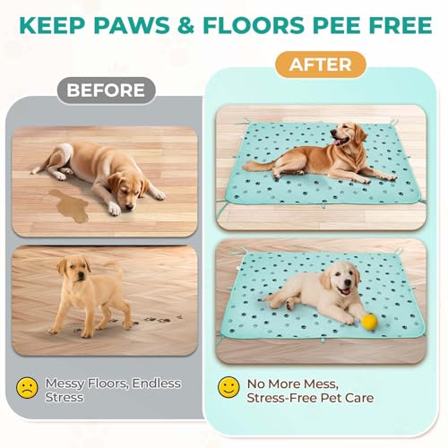 Washable Dog Pee Pads (Green / 31*36 Inch (Pack of 2))