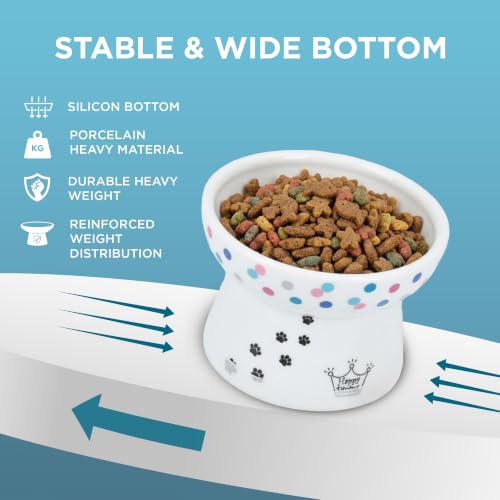 Necoichi Porcelain (Colorful Dots / Regular)