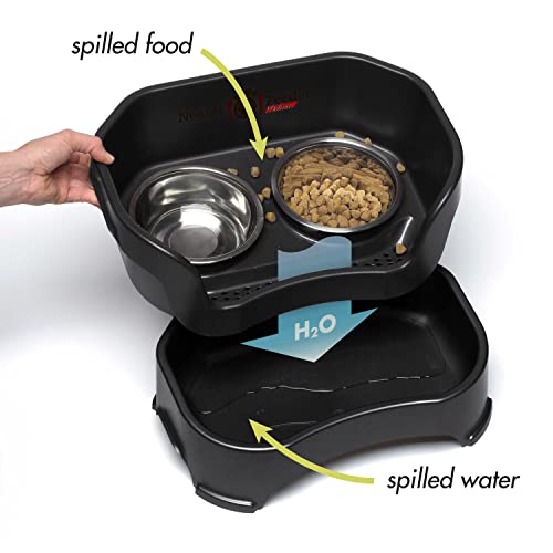 Neater Feeder Deluxe Mess (Small + Standard Bowl / Midnight Black)