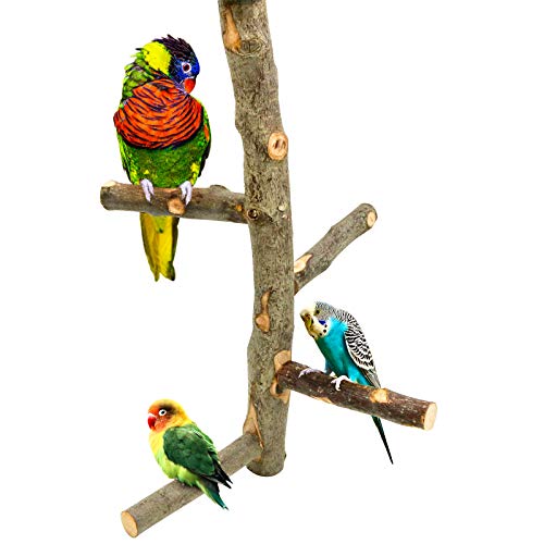 Bird Perch Nature Apple Hard Wood Stand (Set 1)