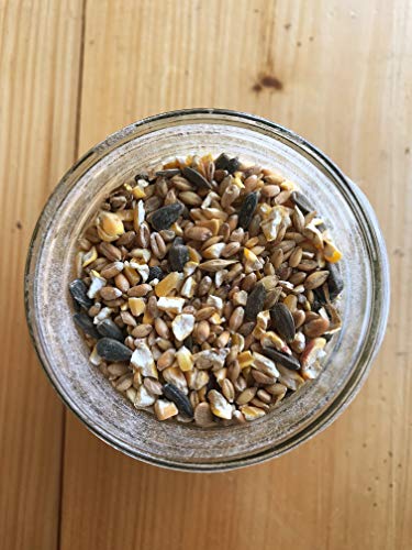 Bird and Wildlife Feed (25 Pound (Pack of 1))