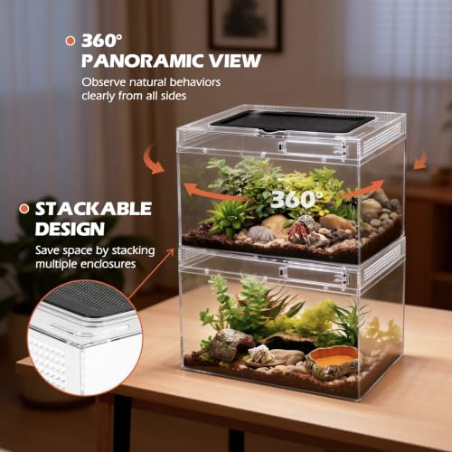 Reptile Tank Starter Kit (Small(12*9*7IN))