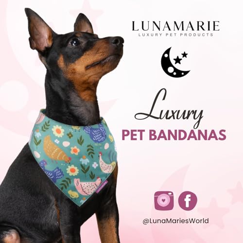 Luxury Pet Birthday Bandanas (Chicken Couture / Large)