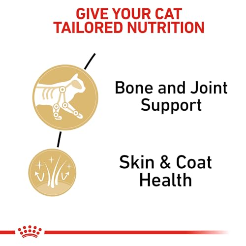 Feline Breed Nutrition Maine Coon Adult Thin Slices in Gravy Cat Food (3 Ounce (Pack of 6))