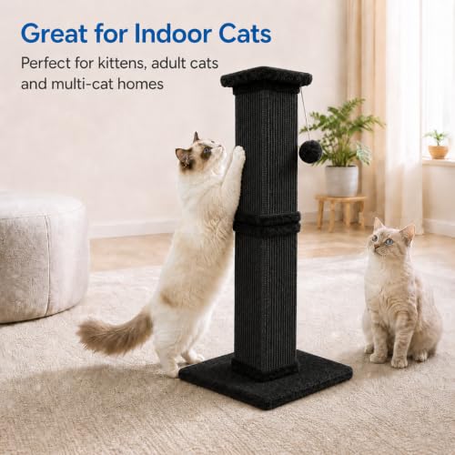 Cat Scratching Post for Indoor Cats (Pure Black)