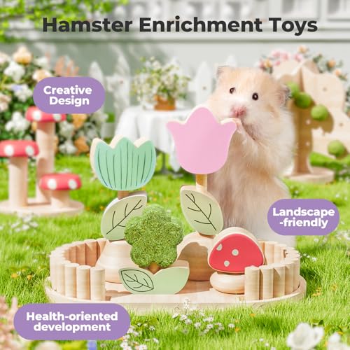 Hamster Chew Toys for Teeth