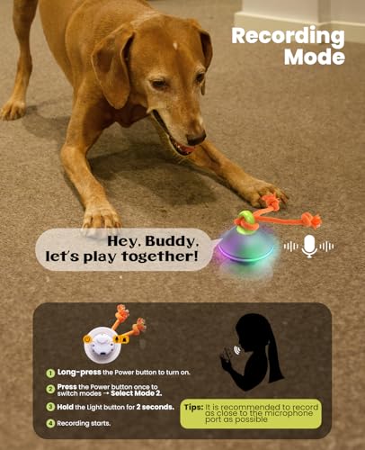 Interactive Dog Ball with Rope (Blue)