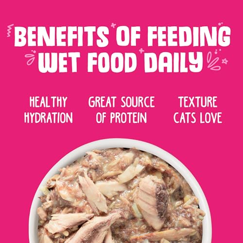 Classic Cat Food (10 Ounce (Pack of 12))