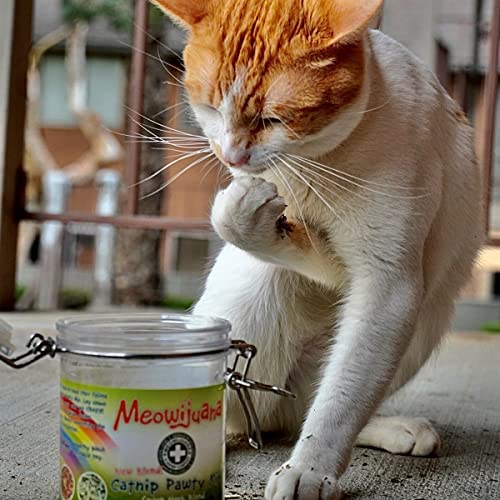 Catnibas Pawty Mix with Lemongrass