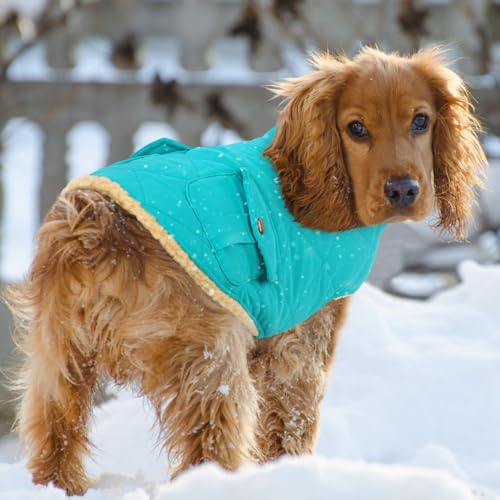 Warm Dog Jacket Cold Weather Puffer Coat Quilting Winter Vest (Large / Light Blue)
