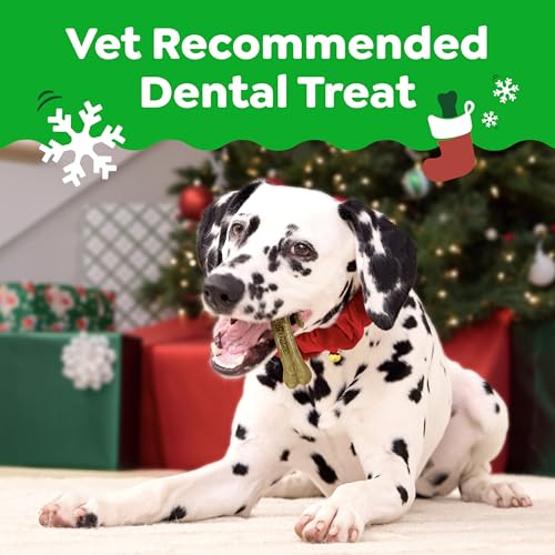 Petite Natural Dental Dog Treats (10 Count (Pack of 1))