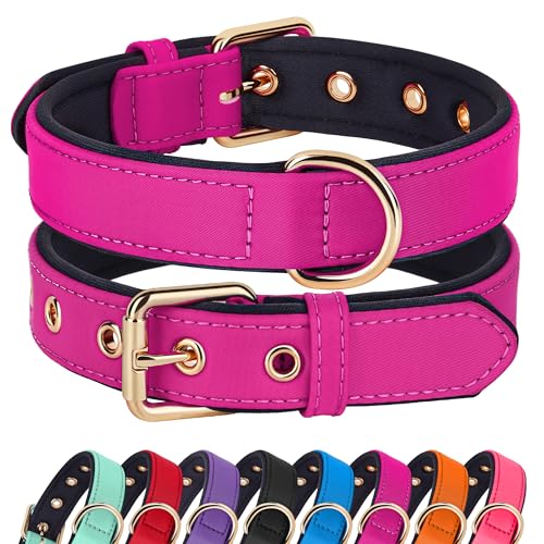 Soft Padded Dog Collars for Medium Dogs (Rose Purple / L: Fit 13-17" Neck)
