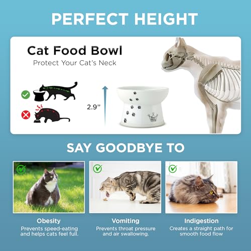 Necoichi Porcelain Ceramic Elevated Cat Food Bowl (Cat / Regular)
