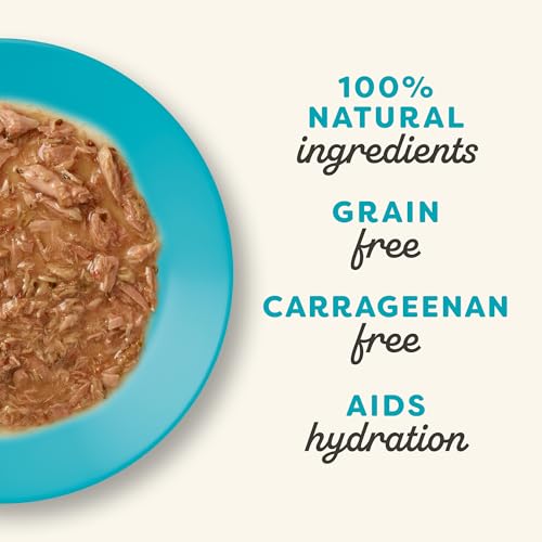 Tuna Fillet in Gravy Wet Cat Food 12