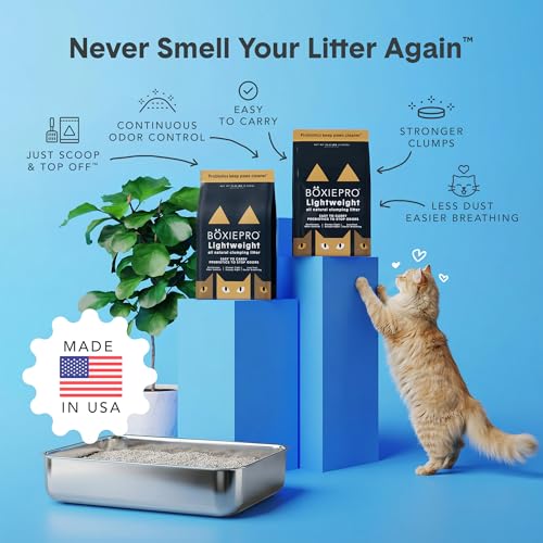 Boxie Probiotic Natural Lightweight Cat Litter 40+ Day Odor Control 11.5 lb (11.5 lb)