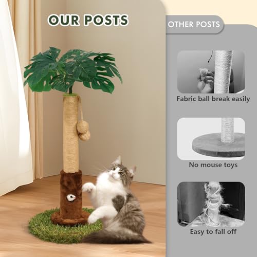 25" Kitten Scratching Post (24.8-Brown / 24.8in)