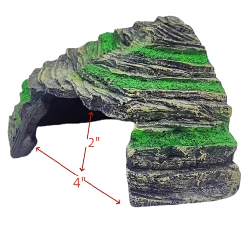 Reptile Hide Cave