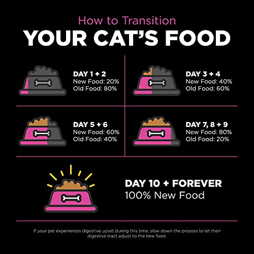 Skin + Coat Care Chicken Dry Cat Food with Grains (8 Pound (Pack of 1))