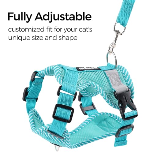 Cat Harness and Leash Set (Turquoise / Large)