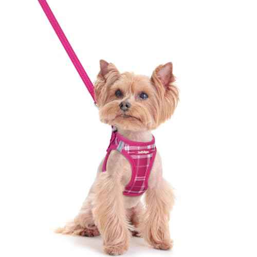 Dog Harness Small Sized and Leash Set (Rose Red Plaid / Xxs (chest: 12.4 - 14.2"))