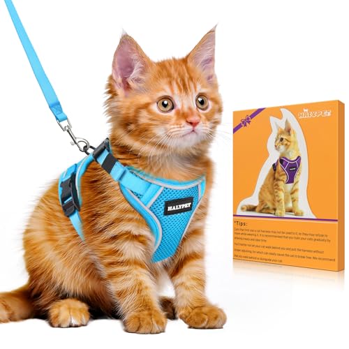 Cat Harness and Leash Set (Night Blue / X-Small (4-6lb))
