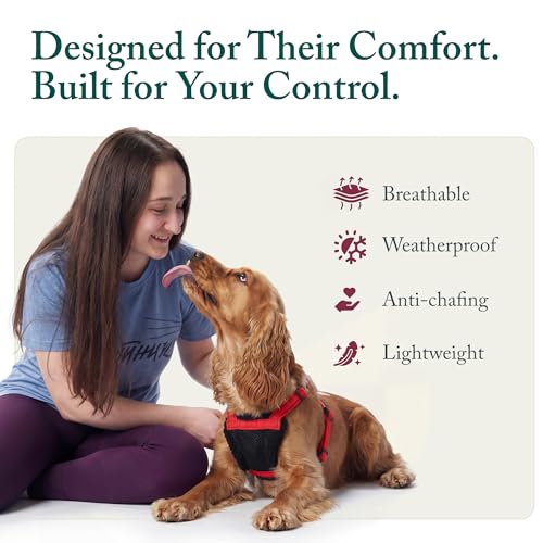 No Pull Dog Harness (Medium / Red)