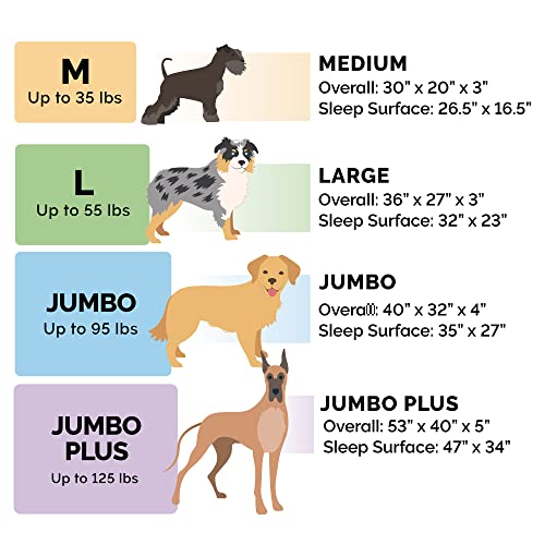 Cooling Gel Dog Bed for Large Dogs w (Jumbo / (Plush & Almond Print) Blue Almonds)