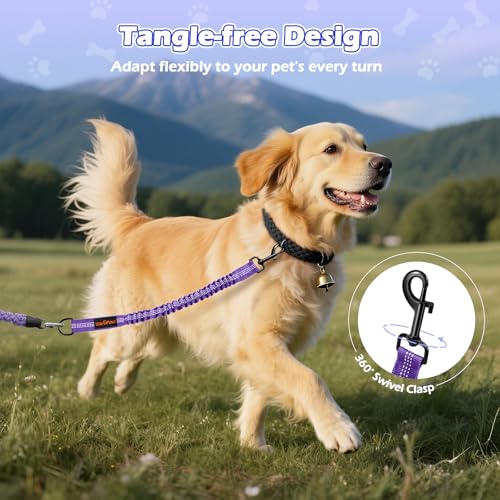 Bungee Dog Leash Extender (Black/Purple)