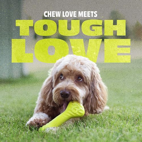 Natural Rubber Dog Bone Chew Toy (Small)
