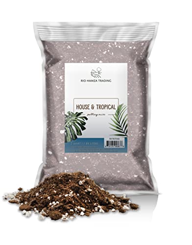 Tropical House Plant Potting Mix (2 Quarts)