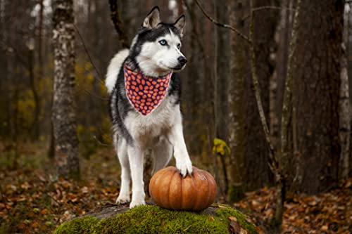 Halloween Dog Bandana for Small Medium Large Dogs (Pumpkin / Small (Pack of 1))