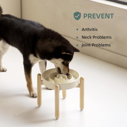Elevated Slow Feeder Dog Bowls (Light Yellow)