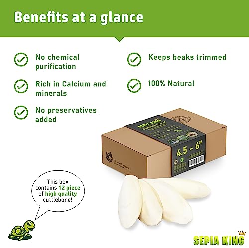 Medium 100% Natural Calcium Supplement
