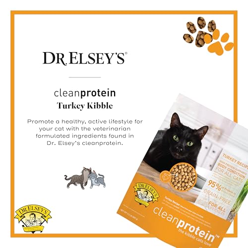 cleanprotein Turkey Cat Kibble 2 lb. Bag (2 Pound (Pack of 1))