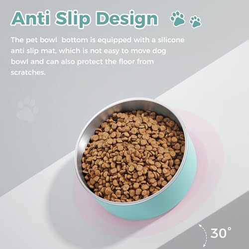 Dog Bowl Stainless Steel Food and Water Bowl (40 oz / Mint Green)