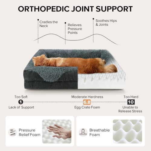 Orthopedic Dog Bed Extra Large Sized Dog (Grey / 48"L x 35"W x 7.5"T)