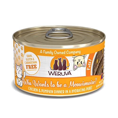 Wet Cat Food Who Wants to be a Meowionaire with Chicken and Pumpkin Pate