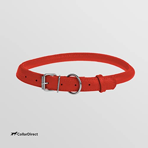 Tangle Free Rolled Leather Dog Collar