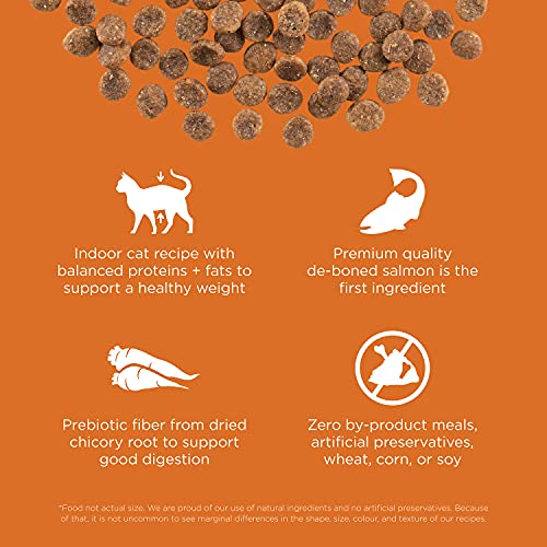 Skin + Coat Care Salmon Grain (3 Pound (Pack of 1))