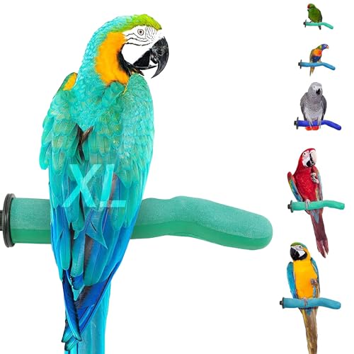 Safety Pumice Bird Perch (Green / X-Large 14")