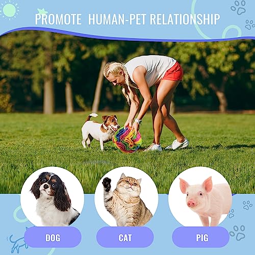 Pet Snuffle Ball (New rainbow color / 10cm)